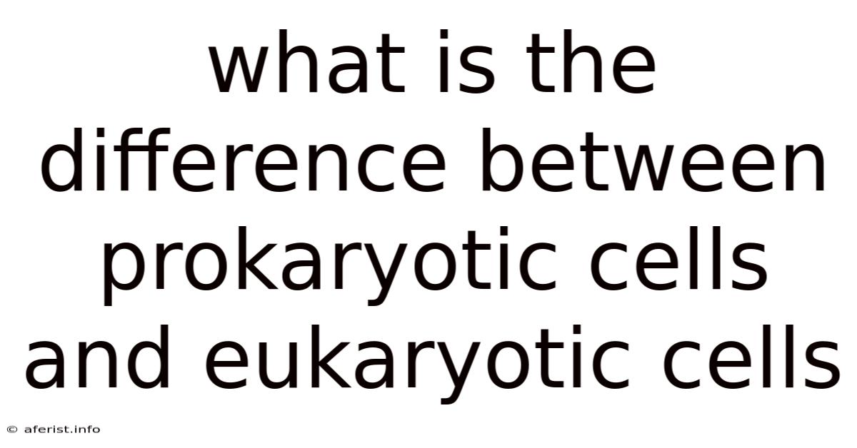 What Is The Difference Between Prokaryotic Cells And Eukaryotic Cells
