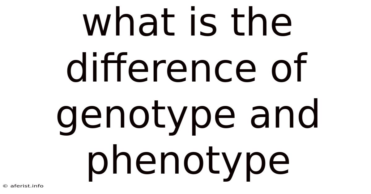 What Is The Difference Of Genotype And Phenotype