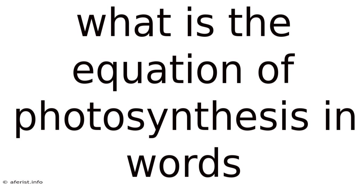 What Is The Equation Of Photosynthesis In Words