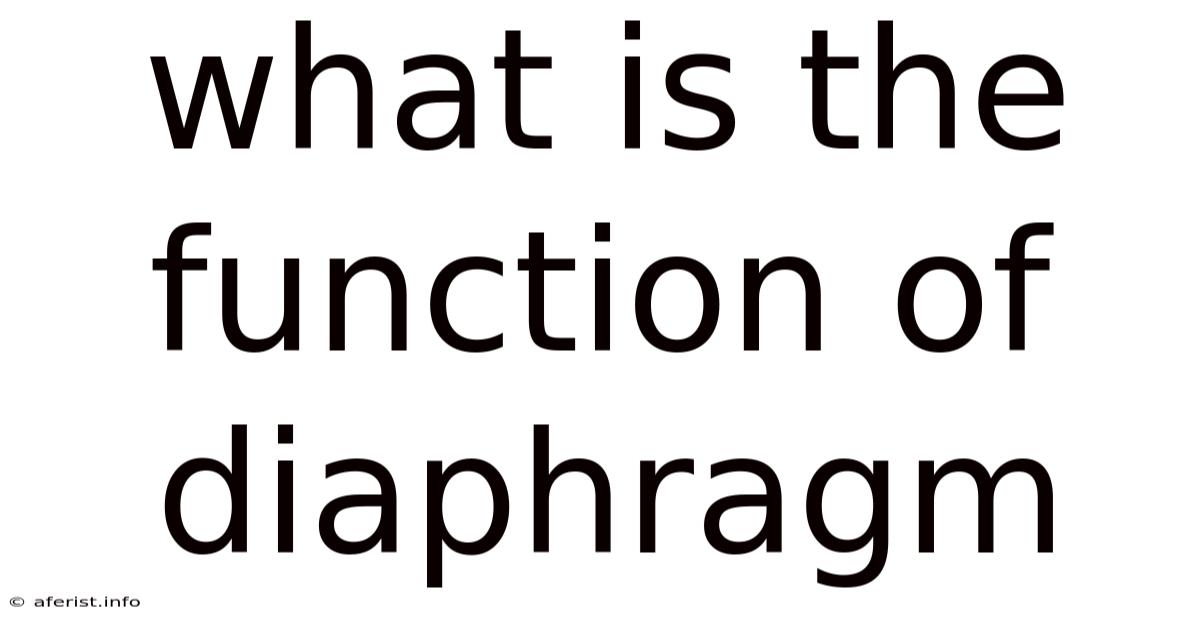 What Is The Function Of Diaphragm