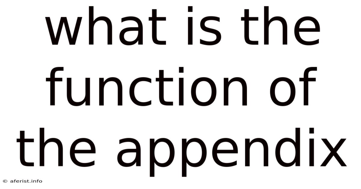 What Is The Function Of The Appendix