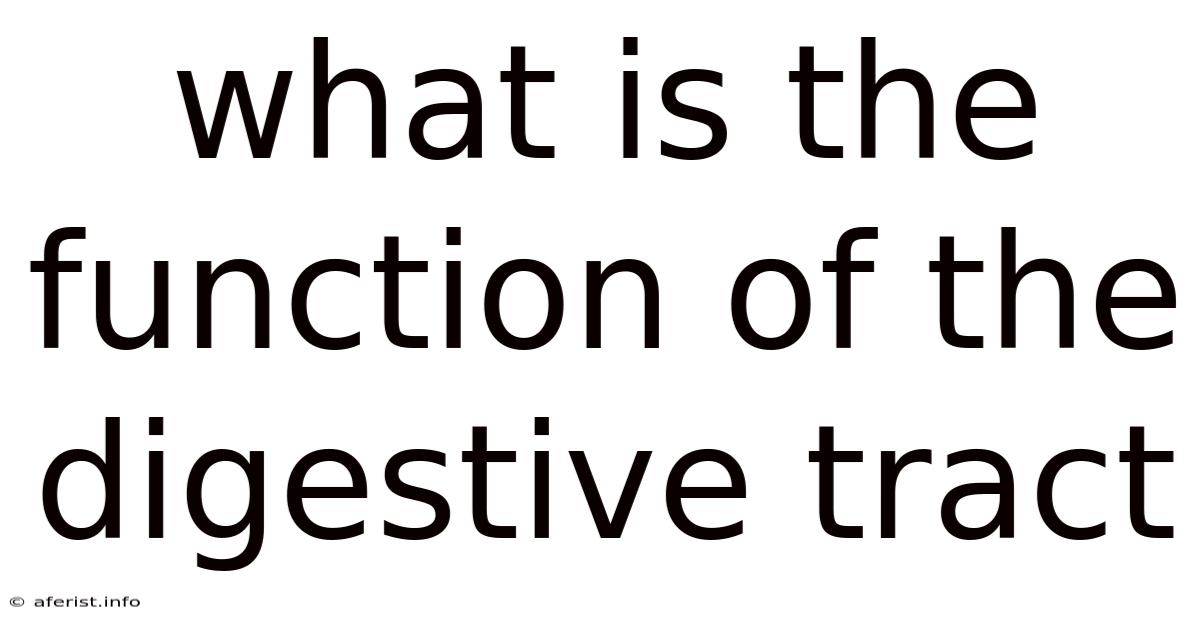 What Is The Function Of The Digestive Tract