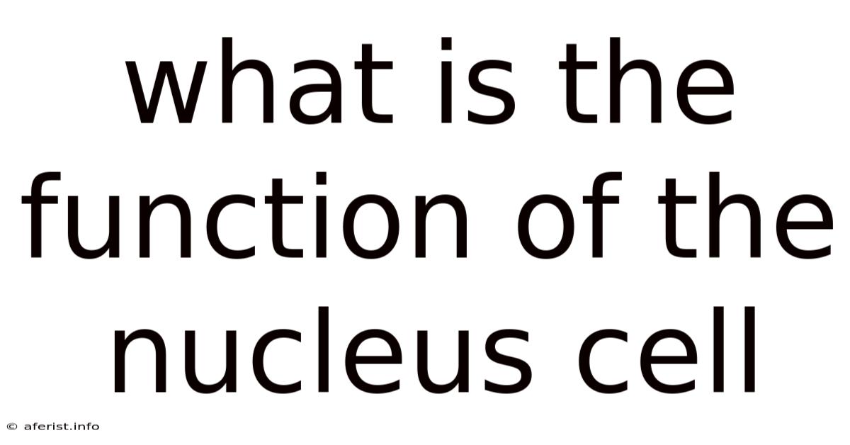 What Is The Function Of The Nucleus Cell