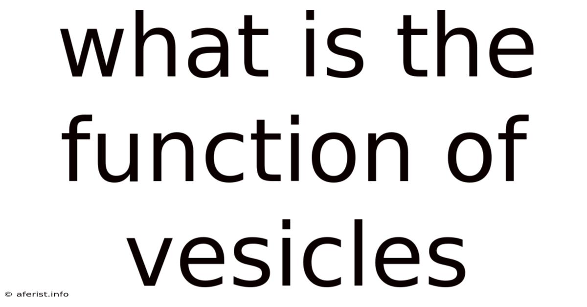 What Is The Function Of Vesicles