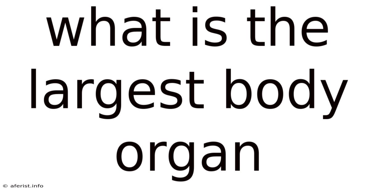 What Is The Largest Body Organ
