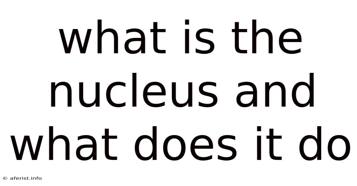 What Is The Nucleus And What Does It Do