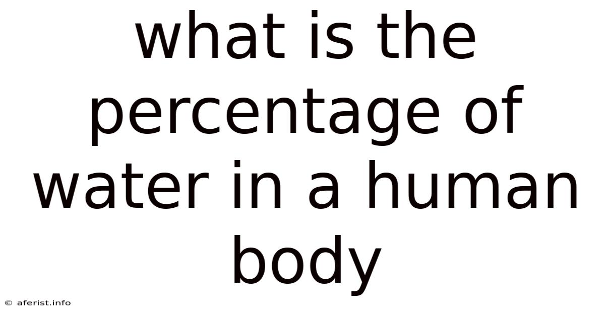 What Is The Percentage Of Water In A Human Body