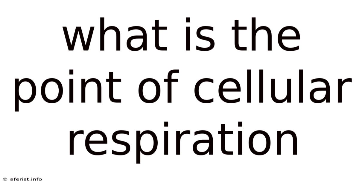 What Is The Point Of Cellular Respiration