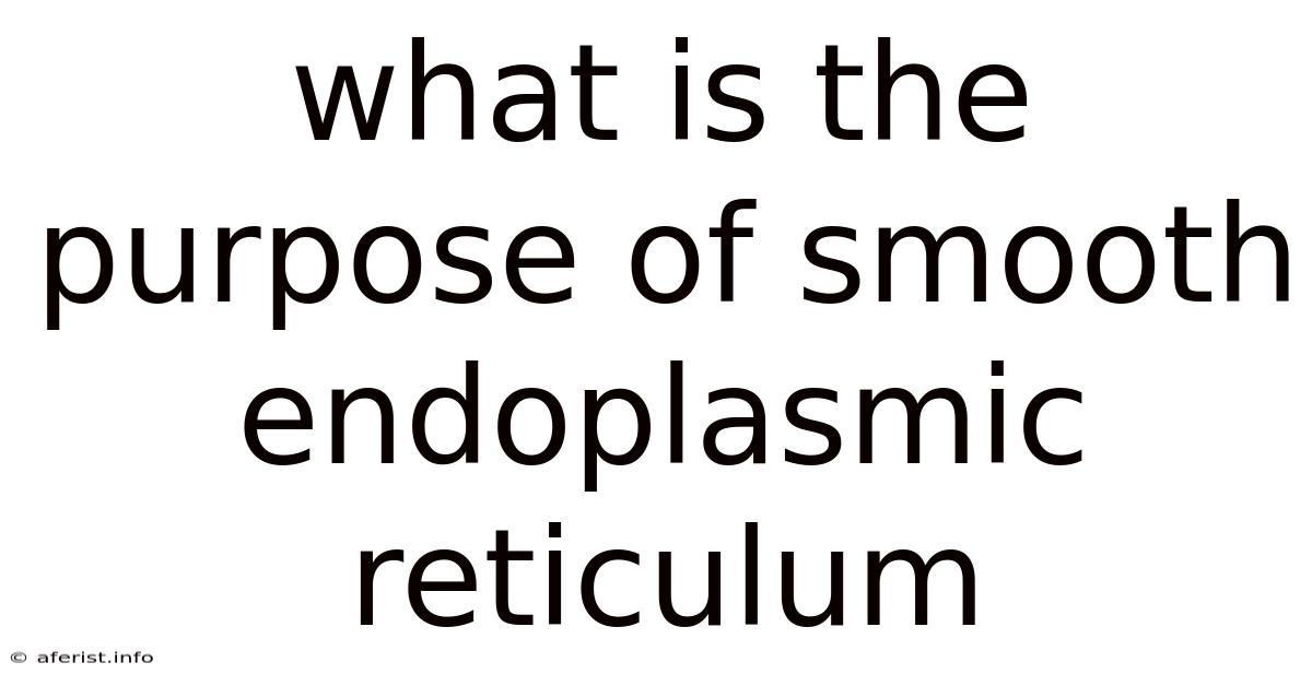 What Is The Purpose Of Smooth Endoplasmic Reticulum