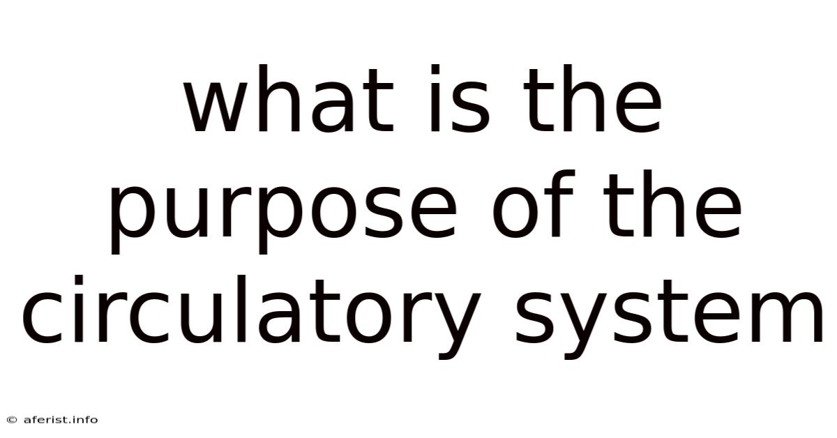 What Is The Purpose Of The Circulatory System