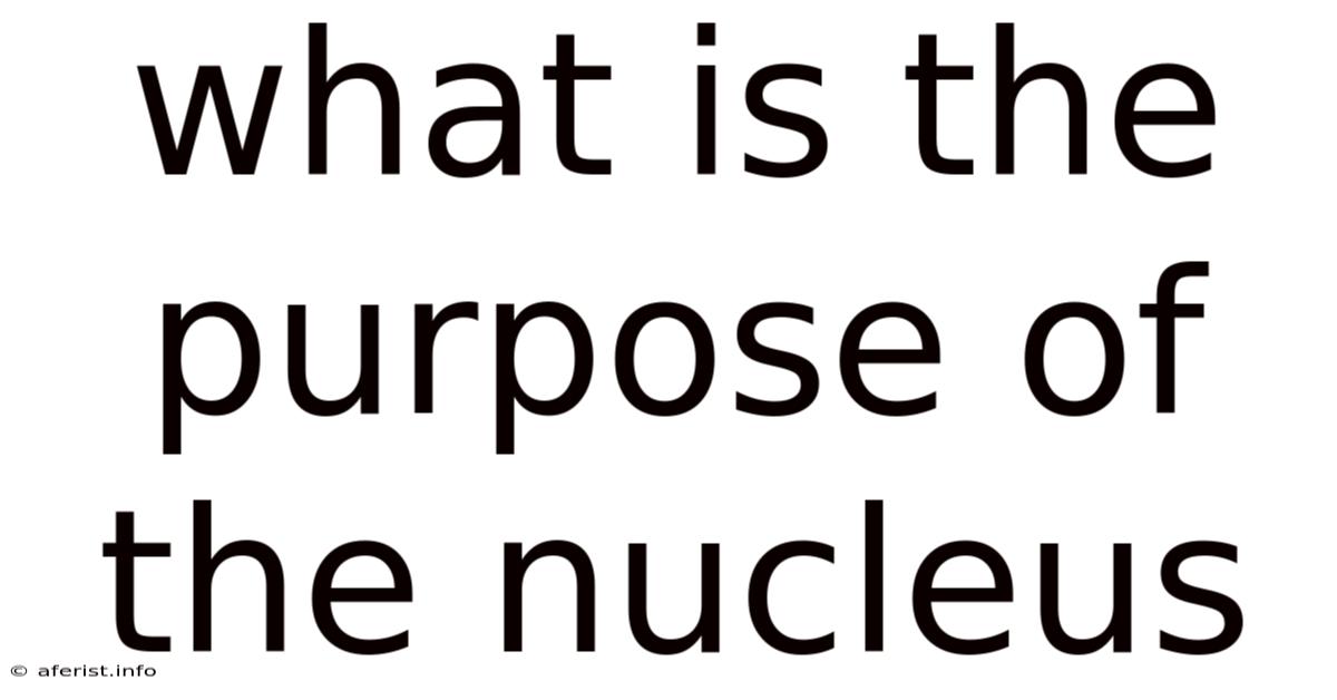 What Is The Purpose Of The Nucleus