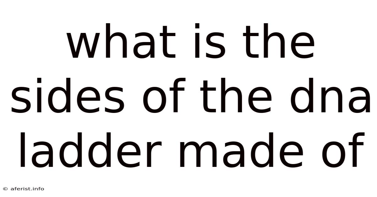 What Is The Sides Of The Dna Ladder Made Of