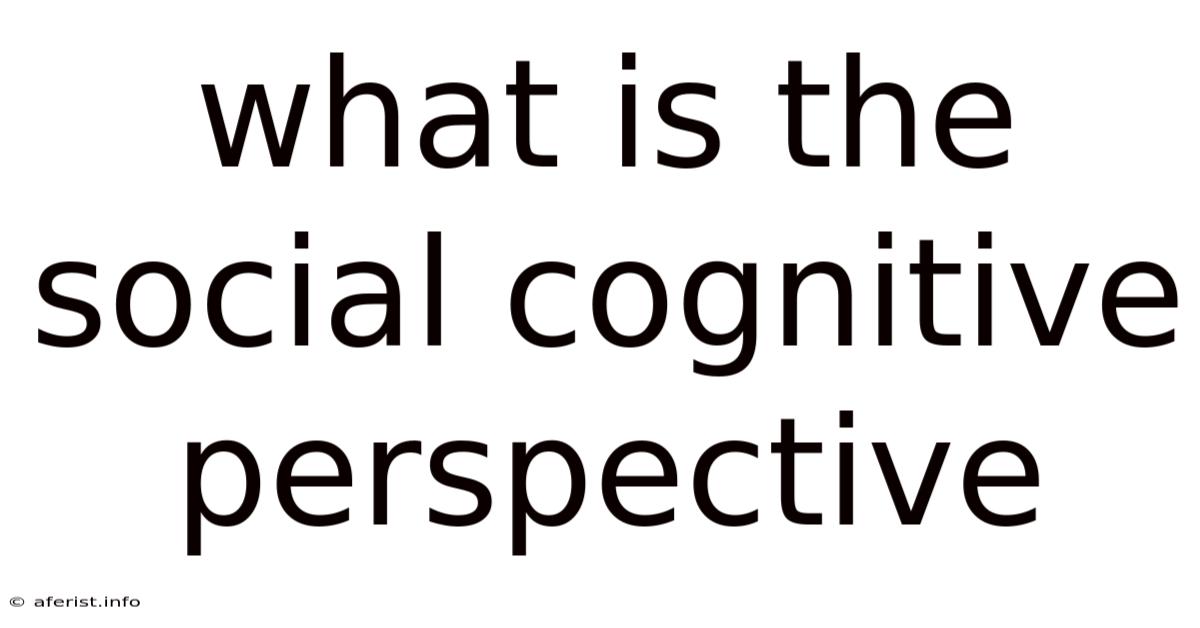 What Is The Social Cognitive Perspective