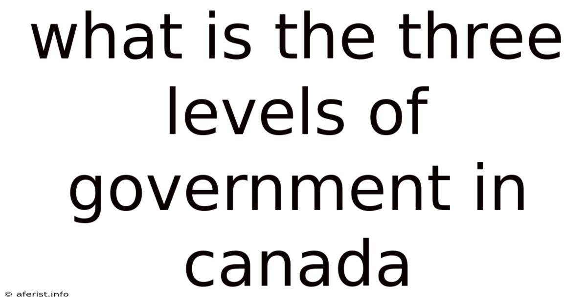 What Is The Three Levels Of Government In Canada