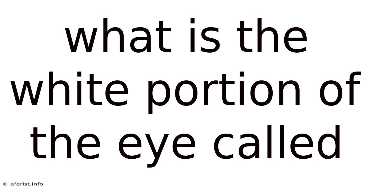 What Is The White Portion Of The Eye Called