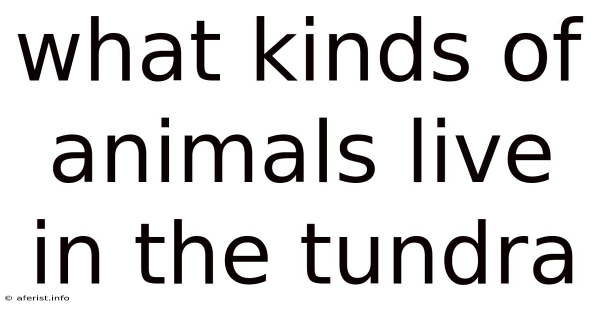 What Kinds Of Animals Live In The Tundra