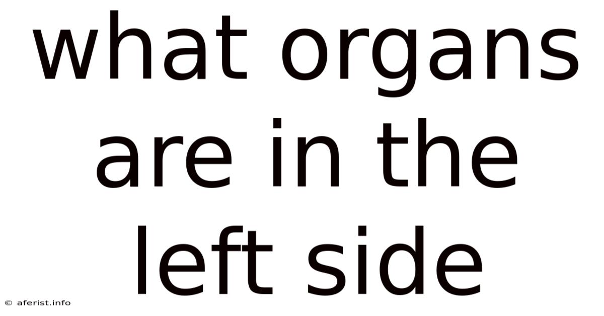 What Organs Are In The Left Side