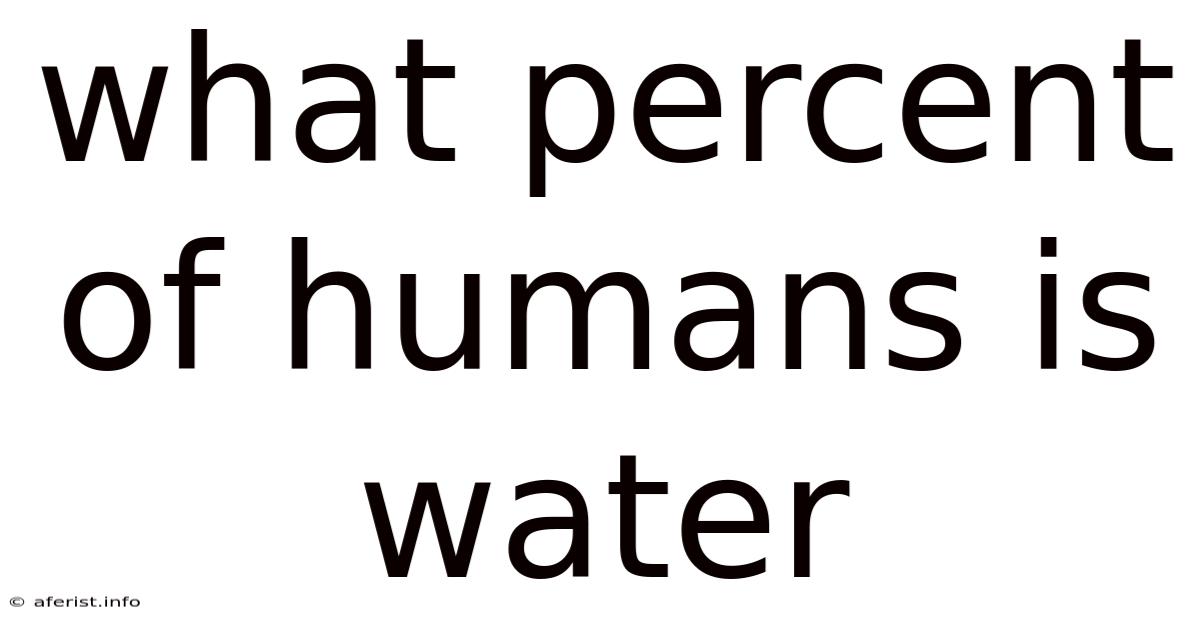 What Percent Of Humans Is Water