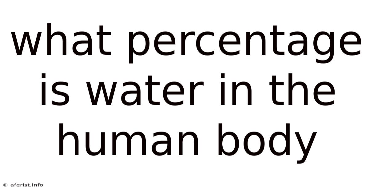 What Percentage Is Water In The Human Body
