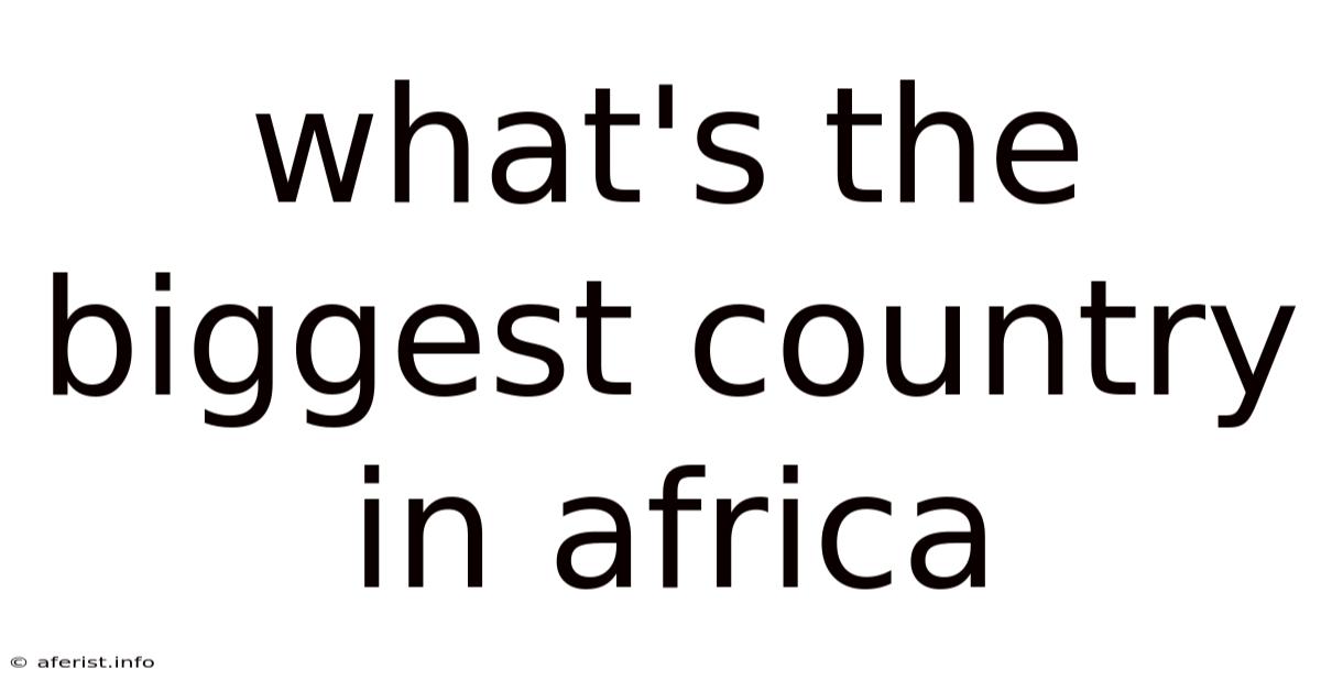 What's The Biggest Country In Africa
