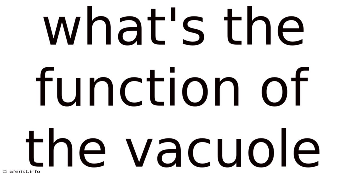 What's The Function Of The Vacuole