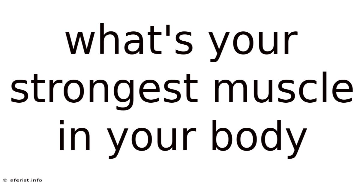 What's Your Strongest Muscle In Your Body