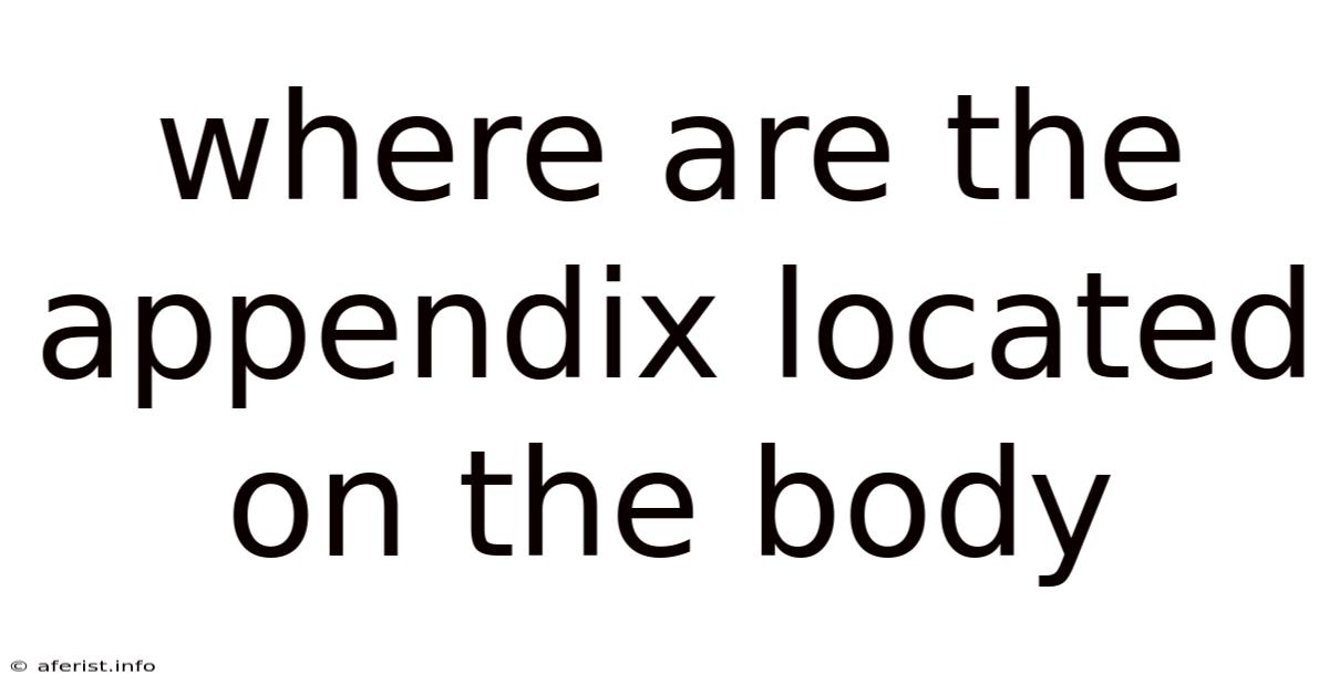 Where Are The Appendix Located On The Body