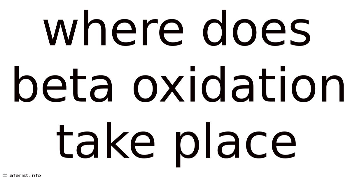 Where Does Beta Oxidation Take Place
