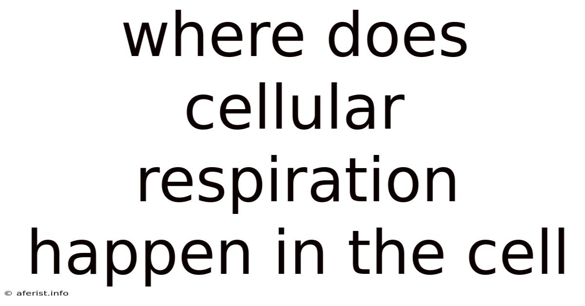 Where Does Cellular Respiration Happen In The Cell