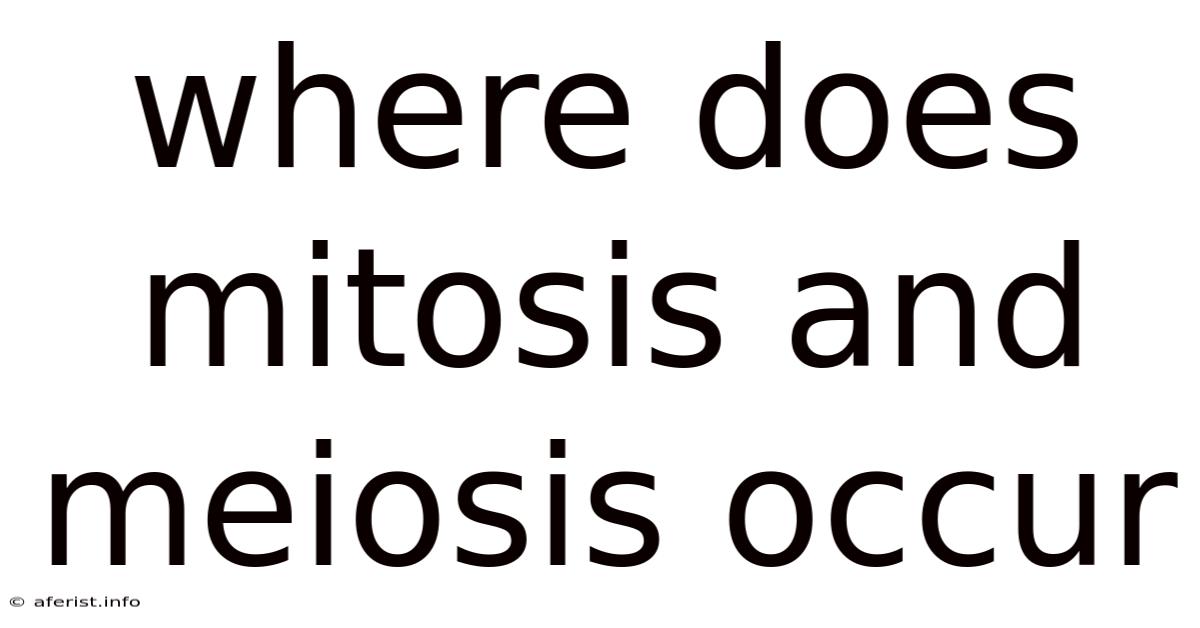 Where Does Mitosis And Meiosis Occur