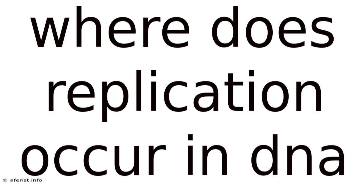 Where Does Replication Occur In Dna