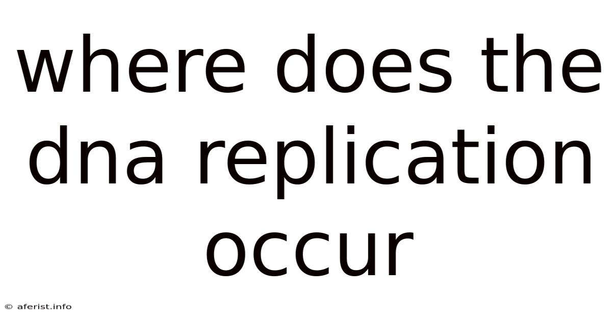 Where Does The Dna Replication Occur