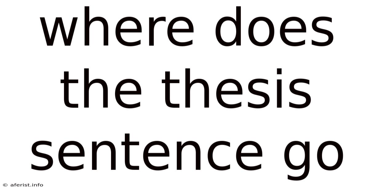 Where Does The Thesis Sentence Go