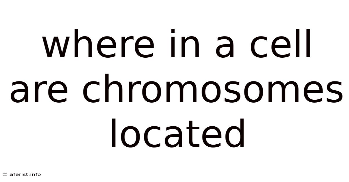 Where In A Cell Are Chromosomes Located