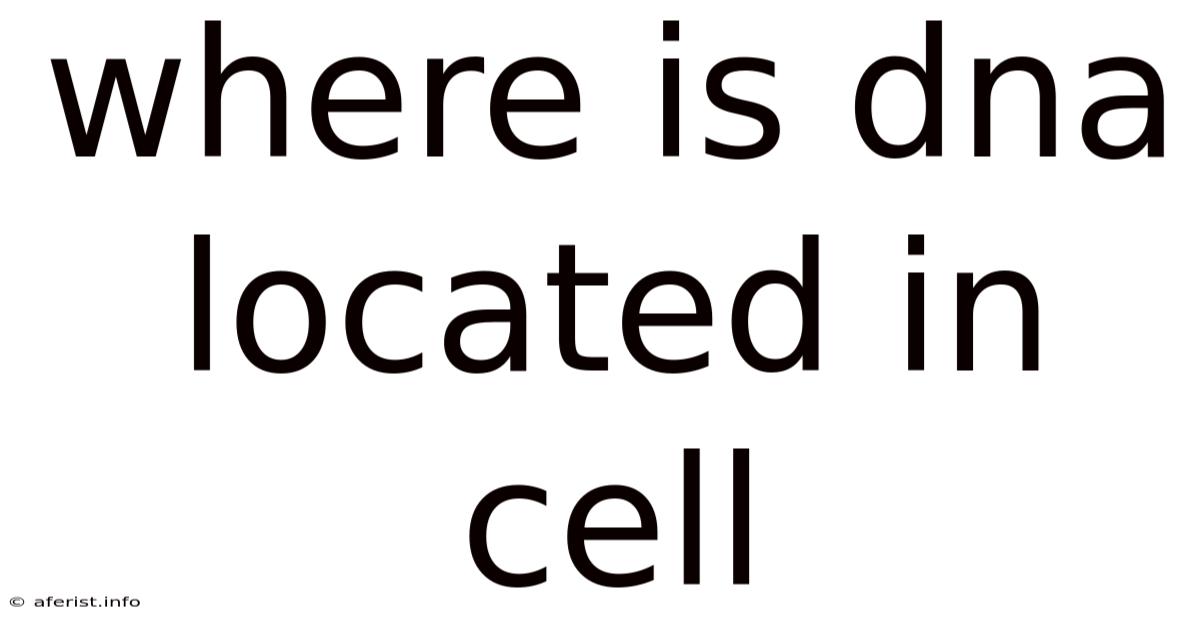Where Is Dna Located In Cell