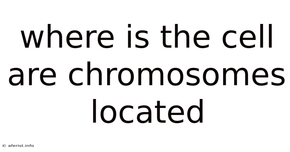 Where Is The Cell Are Chromosomes Located