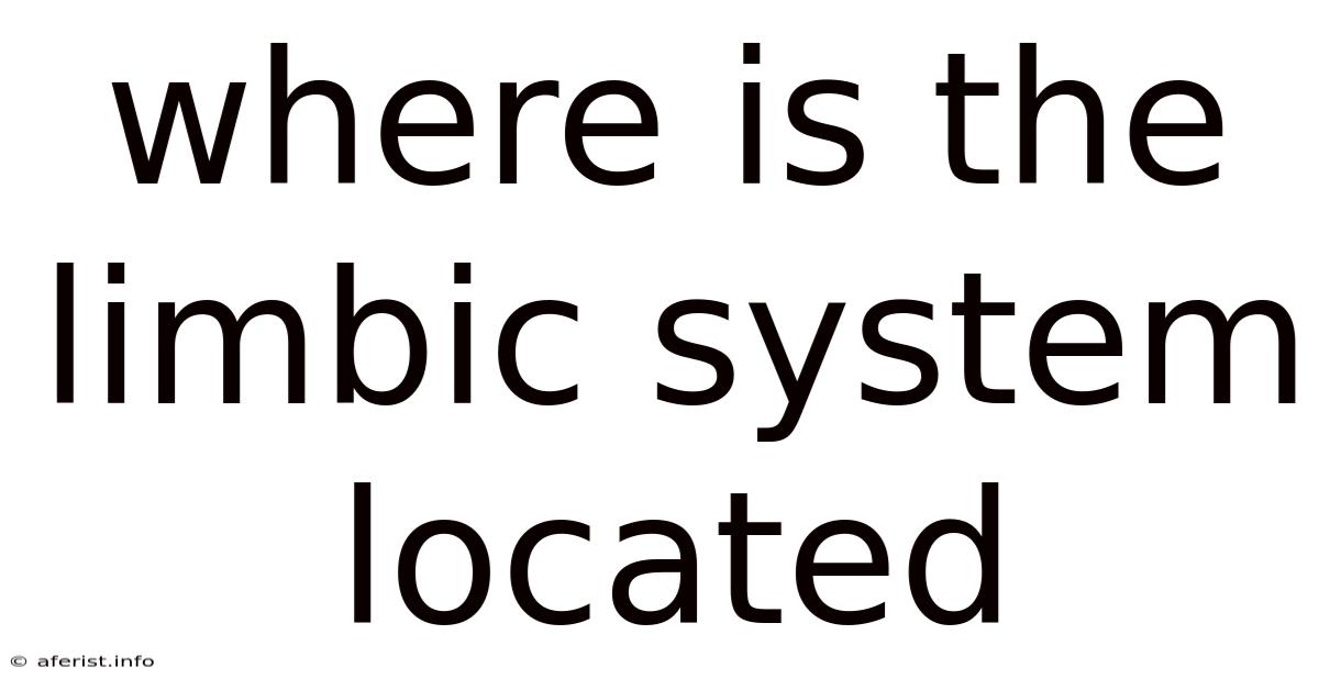 Where Is The Limbic System Located
