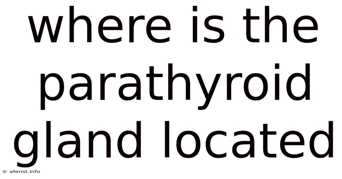 Where Is The Parathyroid Gland Located