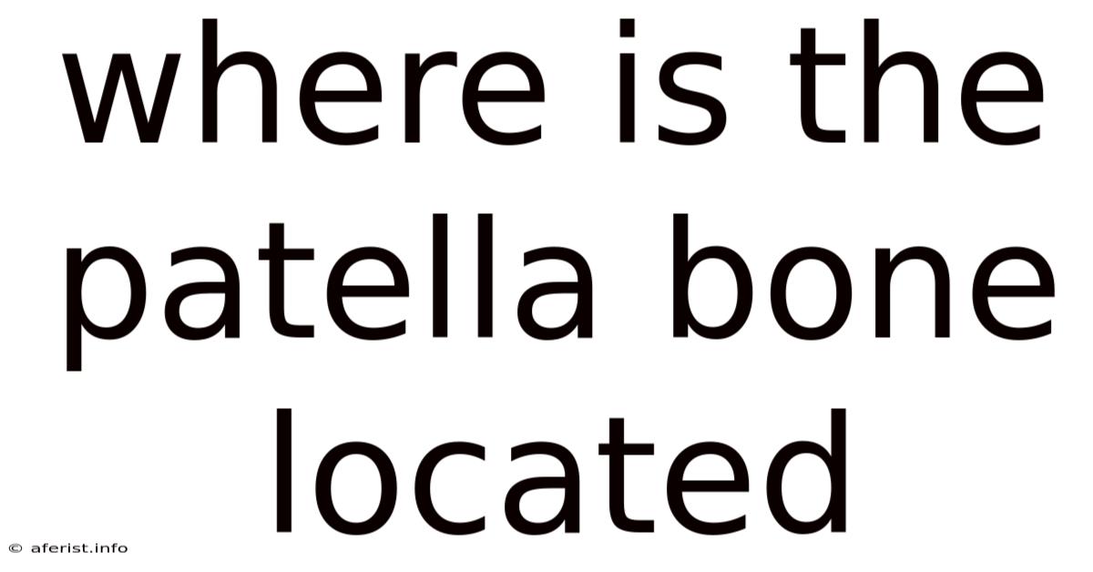 Where Is The Patella Bone Located