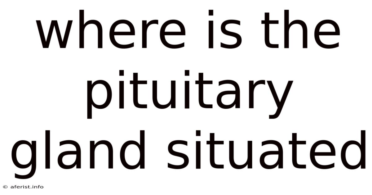 Where Is The Pituitary Gland Situated