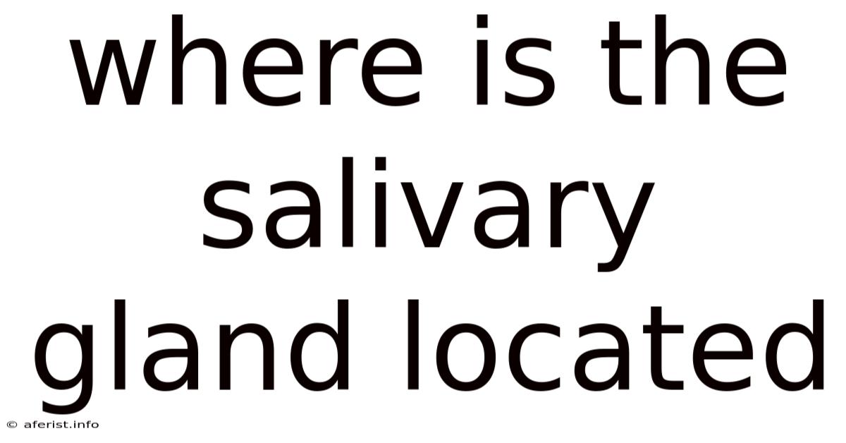 Where Is The Salivary Gland Located