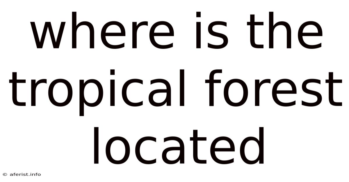 Where Is The Tropical Forest Located