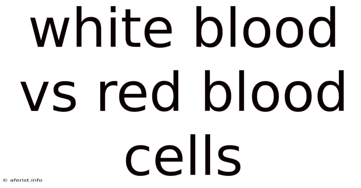 White Blood Vs Red Blood Cells