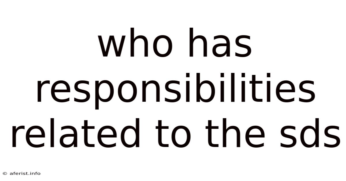 Who Has Responsibilities Related To The Sds