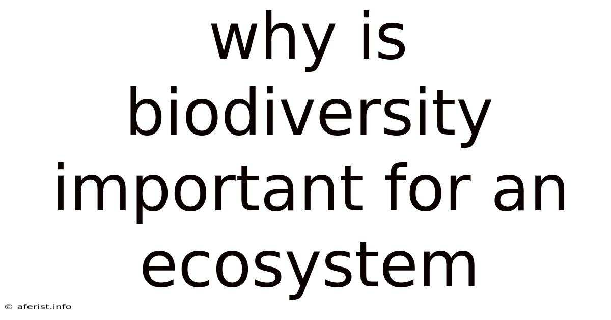 Why Is Biodiversity Important For An Ecosystem