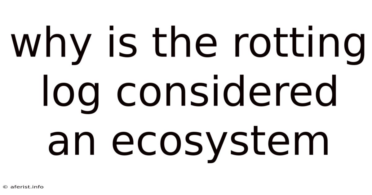 Why Is The Rotting Log Considered An Ecosystem