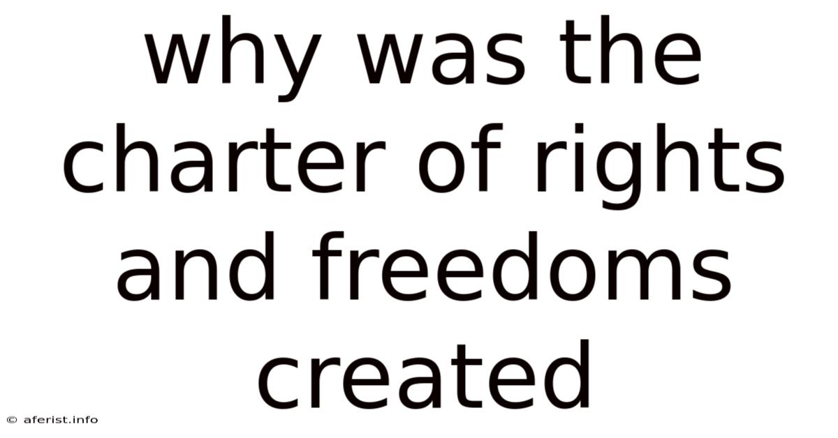 Why Was The Charter Of Rights And Freedoms Created